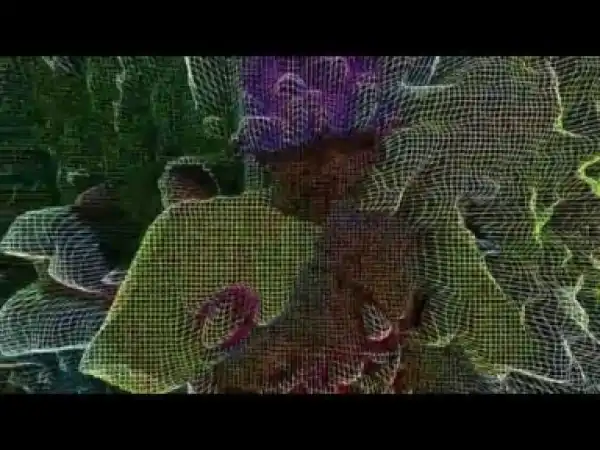 Video: Soulja Boy - Soulja Soulja